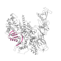 The deposited structure of PDB entry 4a3m contains 1 copy of Pfam domain PF04566 (RNA polymerase Rpb2, domain 4) in DNA-directed RNA polymerase II subunit RPB2. Showing 1 copy in chain B.