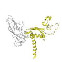 The deposited structure of PDB entry 4a3m contains 1 copy of CATH domain 3.30.1360.10 (Gyrase A; domain 2) in DNA-directed RNA polymerase II subunit RPB3. Showing 1 copy in chain C.