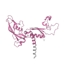 The deposited structure of PDB entry 4a3m contains 1 copy of Pfam domain PF01193 (RNA polymerase Rpb3/Rpb11 dimerisation domain) in DNA-directed RNA polymerase II subunit RPB3. Showing 1 copy in chain C.