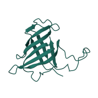 The deposited structure of PDB entry 4a3m contains 1 copy of CATH domain 2.40.50.140 (OB fold (Dihydrolipoamide Acetyltransferase, E2P)) in DNA-directed RNA polymerases I, II, and III subunit RPABC3. Showing 1 copy in chain H.