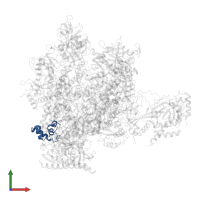 DNA-directed RNA polymerases I, II, and III subunit RPABC5 in PDB entry 4a3m, assembly 1, front view.