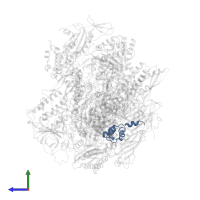 DNA-directed RNA polymerases I, II, and III subunit RPABC5 in PDB entry 4a3m, assembly 1, side view.