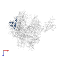 DNA-directed RNA polymerases I, II, and III subunit RPABC5 in PDB entry 4a3m, assembly 1, top view.