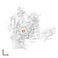 5'-R(*AP*GP*GP*A)-3' in PDB entry 4a3m, assembly 1, front view.