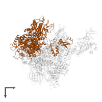 DNA-directed RNA polymerase II subunit RPB2 in PDB entry 4a3m, assembly 1, top view.