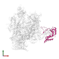 DNA-directed RNA polymerase II subunit RPB4 in PDB entry 4a3m, assembly 1, front view.