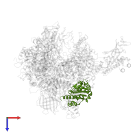 DNA-directed RNA polymerases I, II, and III subunit RPABC1 in PDB entry 4a3m, assembly 1, top view.