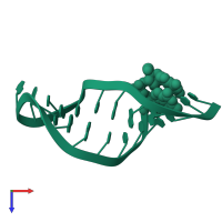 5'-R(*GMP*GP*AP*CP*CP*CP*GP*GP*CP*UP*AP*AP*CP*GP *CP*UP*GP*GP*GP*UP*CP*C)-3' in PDB entry 4a4r, assembly 1, top view.