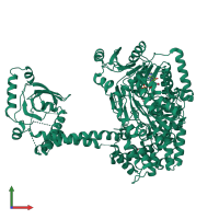 PDB entry 4a4z coloured by chain, front view.