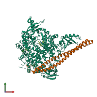 PDB entry 4a55 coloured by chain, front view.