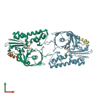 PDB entry 4a62 coloured by chain, front view.