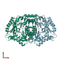 PDB entry 4a6r coloured by chain, front view.