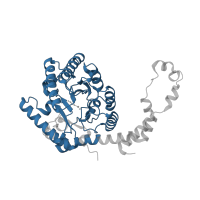 The deposited structure of PDB entry 4a8l contains 1 copy of Pfam domain PF01261 (Xylose isomerase-like TIM barrel) in Xylose isomerase. Showing 1 copy in chain A.
