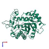 PDB entry 4ad1 coloured by chain, top view.