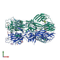PDB entry 4adg coloured by chain, front view.