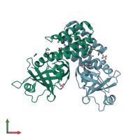 PDB entry 4adn coloured by chain, front view.