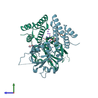 PDB entry 4adn coloured by chain, side view.