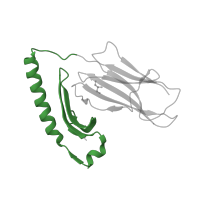 The deposited structure of PDB entry 4aen contains 1 copy of Pfam domain PF00993 (Class II histocompatibility antigen, alpha domain) in HLA class II histocompatibility antigen, DR alpha chain. Showing 1 copy in chain A.