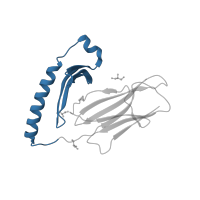 The deposited structure of PDB entry 4ah2 contains 1 copy of CATH domain 3.10.320.10 (Class II Histocompatibility Antigen, M Beta Chain; Chain B, domain 1) in HLA class II histocompatibility antigen, DR alpha chain. Showing 1 copy in chain A.