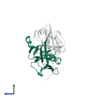 HLA class II histocompatibility antigen, DR alpha chain in PDB entry 4ah2, assembly 1, side view.