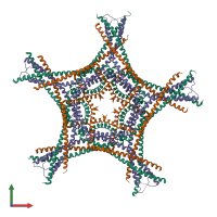 Hetero 30-meric assembly 1 of PDB entry 4aj5 coloured by chemically distinct molecules, front view.