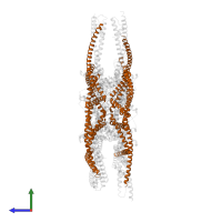 Spindle and kinetochore-associated protein 1 in PDB entry 4aj5, assembly 1, side view.
