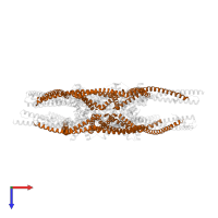 Spindle and kinetochore-associated protein 1 in PDB entry 4aj5, assembly 1, top view.