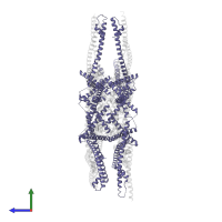 Spindle and kinetochore-associated protein 2 in PDB entry 4aj5, assembly 1, side view.
