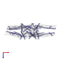 Spindle and kinetochore-associated protein 2 in PDB entry 4aj5, assembly 1, top view.
