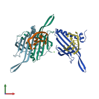 PDB entry 4ang coloured by chain, front view.