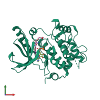 3D model of 4ark from PDBe