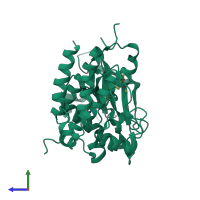 PDB entry 4ase coloured by chain, side view.
