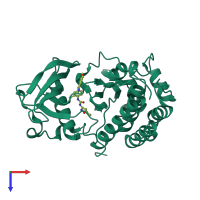 PDB entry 4ase coloured by chain, top view.