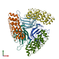 PDB entry 4atz coloured by chain, front view.