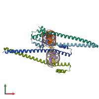 PDB entry 4auw coloured by chain, front view.