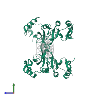 Poly [ADP-ribose] polymerase 1, processed N-terminus in PDB entry 4av1, assembly 1, side view.