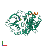 PDB entry 4axa coloured by chain, front view.