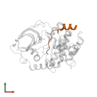 cAMP-dependent protein kinase inhibitor alpha in PDB entry 4axa, assembly 1, front view.