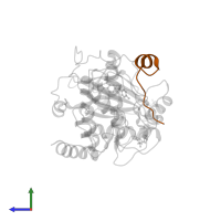 cAMP-dependent protein kinase inhibitor alpha in PDB entry 4axa, assembly 1, side view.