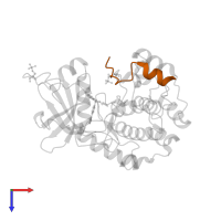 cAMP-dependent protein kinase inhibitor alpha in PDB entry 4axa, assembly 1, top view.