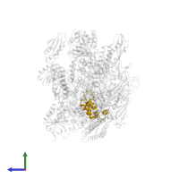 DNA-directed RNA polymerase subunit Rpo4 in PDB entry 4ayb, assembly 1, side view.