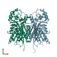 PDB entry 4b0n coloured by chain, front view.