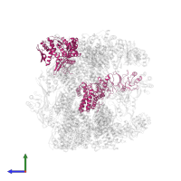 T-complex protein 1 subunit epsilon in PDB entry 4b2t, assembly 1, side view.