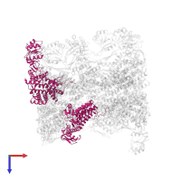 T-complex protein 1 subunit epsilon in PDB entry 4b2t, assembly 1, top view.