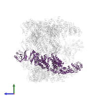 T-complex protein 1 subunit zeta in PDB entry 4b2t, assembly 1, side view.