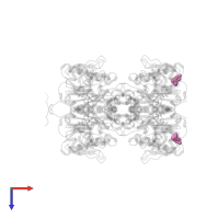 2-(N-MORPHOLINO)-ETHANESULFONIC ACID in PDB entry 4b2x, assembly 2, top view.