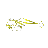 The deposited structure of PDB entry 4b3m contains 1 copy of CATH domain 3.30.70.600 (Alpha-Beta Plaits) in Small ribosomal subunit protein uS10. Showing 1 copy in chain J.