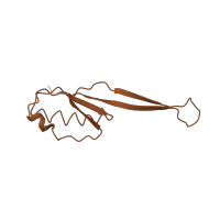 The deposited structure of PDB entry 4b3m contains 1 copy of Pfam domain PF00338 (Ribosomal protein S10p/S20e) in Small ribosomal subunit protein uS10. Showing 1 copy in chain J.