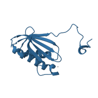 The deposited structure of PDB entry 4b3m contains 1 copy of CATH domain 3.30.420.80 (Nucleotidyltransferase; domain 5) in Small ribosomal subunit protein uS11. Showing 1 copy in chain K.
