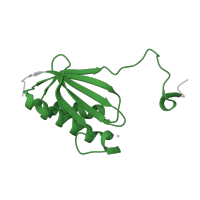 The deposited structure of PDB entry 4b3m contains 1 copy of Pfam domain PF00411 (Ribosomal protein S11) in Small ribosomal subunit protein uS11. Showing 1 copy in chain K.